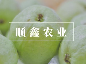 顺鑫农业MQI披露率为25%