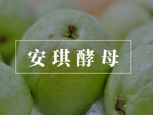 安琪酵母MQI披露率为20%
