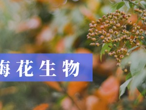 梅花生物MQI披露率为10%