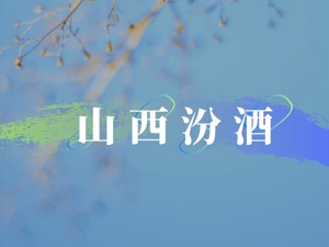 山西汾酒MQI披露率为30%
