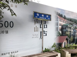 庐山违规公寓调查结果出炉：停止销售并收回预售许可证