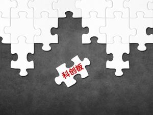12家基金公司密集调研科创板 两只个股最受关注