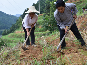 江苏已基本消除绝对贫困 精准帮扶年收入6000元以下的低收入人口