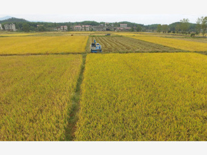 土地管理法草案分组审议：征地补偿成热点，建议充实“利用闲置宅基地”内容