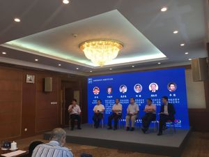 国家发改委能源研究所原所长戴彦德：要在2050年实现美丽中国目标需将能源消费总量控制在50亿吨标准煤