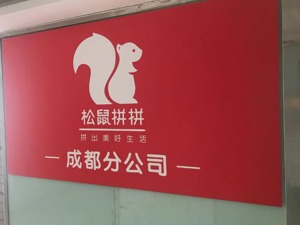 松鼠拼拼踩下急刹车：有分公司成本高致亏损，自营转代理自救？