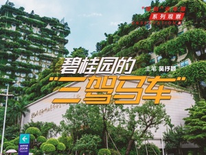 “镁刻”半年报系列观察之⑤：碧桂园