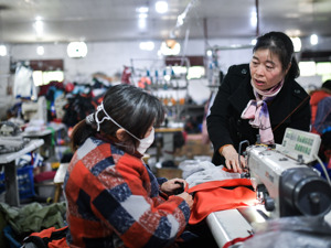 看病买药、孩子上学成进城农民工重负？中央财政年内下达300亿资金，撬动地方大力保障“新市民”基本公共服务需求