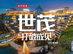 “镁刻”半年报系列观察之⑪：世茂房地产