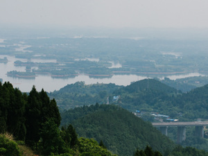 “全国每10头猪就有1头来自四川” 四川省农业农村厅：“猪九条”有助于提振信心