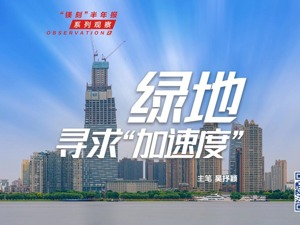 “镁刻”半年报系列观察之⑫：绿地控股