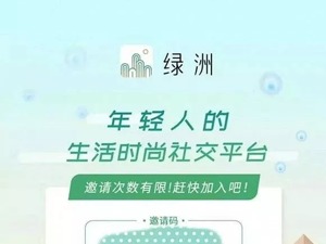 像美国ins，又像小红书，还“借鉴”韩国的设计，微博绿洲下架冤不冤？