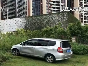 深圳一车主汽车停上绿化带 3小时被罚3230元