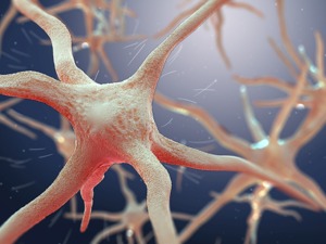 我国科学家研发新多功能纳米组装体 癌症治疗迈出一大步（附股）