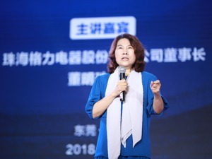 董明珠喜提新公司董事长：由格力联手银隆等5家企业成立