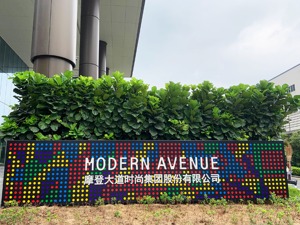 34%股份被轮候冻结  摩登大道：债权方申请的诉前保全不合理