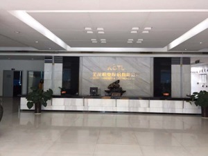独家丨金龙机电副总经理被采取强制措施  或涉兴科电子业绩补偿案