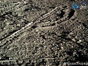 出现了！中国在月亮上做出“正宗月饼”！