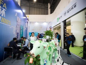 蒙牛拟78亿港元收购网红奶粉 贝拉米或借此扭业绩颓势