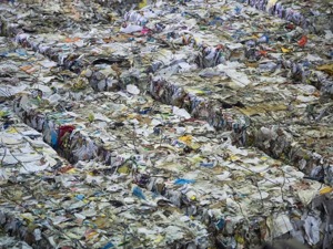 目前全球出口的废弃物中约75%最终流向亚洲 东南亚国家强化“洋垃圾”进口限制