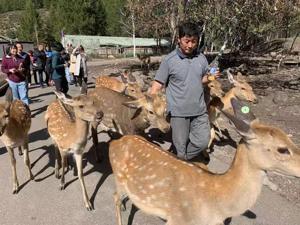 生态致富的阿尔山样本：伐木工放下斧头开客栈年入可达20万，生态系统生产总值超地区生产总值数十倍