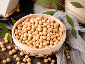 今年粮食有望再获丰收 预计大豆面积增加1000万亩