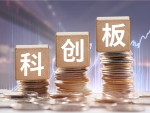 深化新蓝筹行动 健全科创板注册制规则