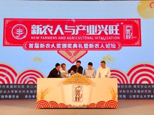 拼多多拟发行8.75亿美元可转债 将继续重投农产品上行等项目