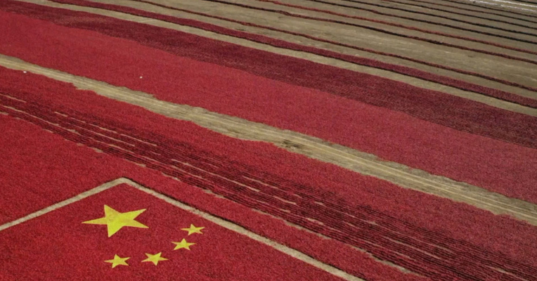 视频丨中国的世界经济坐标：在这些方面成第一大国