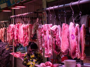 肉价何时回归正常水平？成都解读“猪十条”