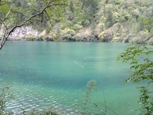 九寨沟景区9月27日“回归”：每天限量5000人，暂不接待散客