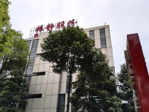 振静股份拟修订重组预案 新方案不构成借壳上市