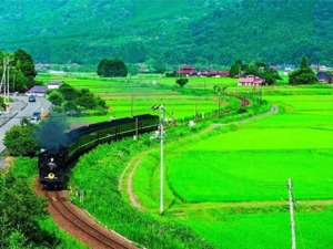 商业观察｜日本成出境游第一目的地  日本旅游IP是如何深度吸引中国年轻人的？