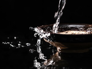 飞天茅台从高点降价700元 “黄牛”慌了消费者乐了