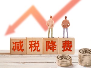 国家税务总局：全力以赴确保减税降费政策措施进一步落地见效