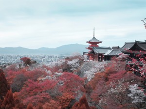 日本正式上调消费税 还推临时政策措施减少负面影响