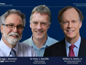 2019年生理学或医学诺奖花落感受氧气基本原理，3位美英科学家分享该奖项