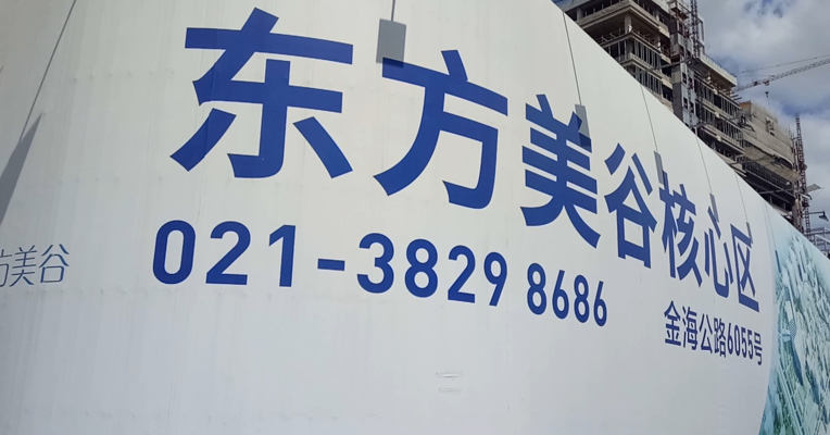 视频丨真假Costco调查  谁是真代表谁又在说谎？