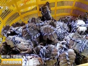 “纸螃蟹”背后套路横行：手里没有一只螃蟹，经销商却赚翻了