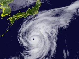矿泉水、面包被抢购一空，胶布卖断货…让140万日本人避难的“海贝思”有多强？