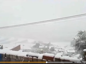 “北方冻得发黑”！这20地已供暖，有热企违规涨价