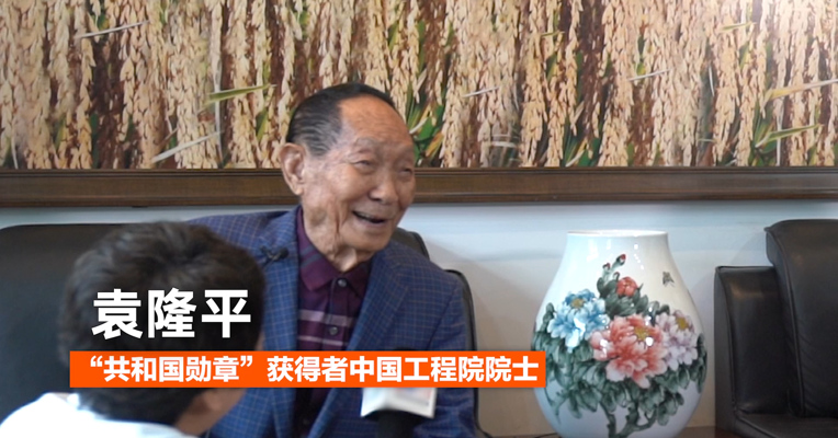 视频｜世界粮食日袁隆平的小目标