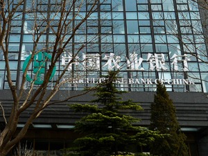 “金融副省长”队伍再添一员 原农行副行长蔡东履新吉林省副省长