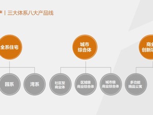 新力地产发展之路