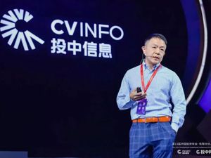 投中陈颉：资本长冬，强者愈强，专业为王