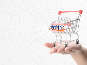支付宝全力打击非法网贷 律师：警惕“超低利息”等字样