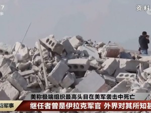 美媒称极端组织已任命巴格达迪接班人 继任者曾是伊拉克军官 外界对其所知甚少