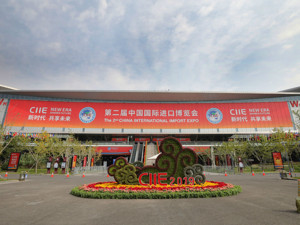 第二届进博会亮点纷呈：3000余家企业确认参展 超300场配套活动促进中外交流