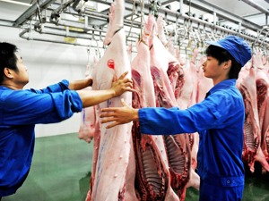 上周食用农产品价格有所上涨 生产资料价格小幅下降