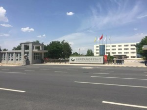 知名电动车曾年销4.3万辆，估值高达80亿，如今子公司被拍卖